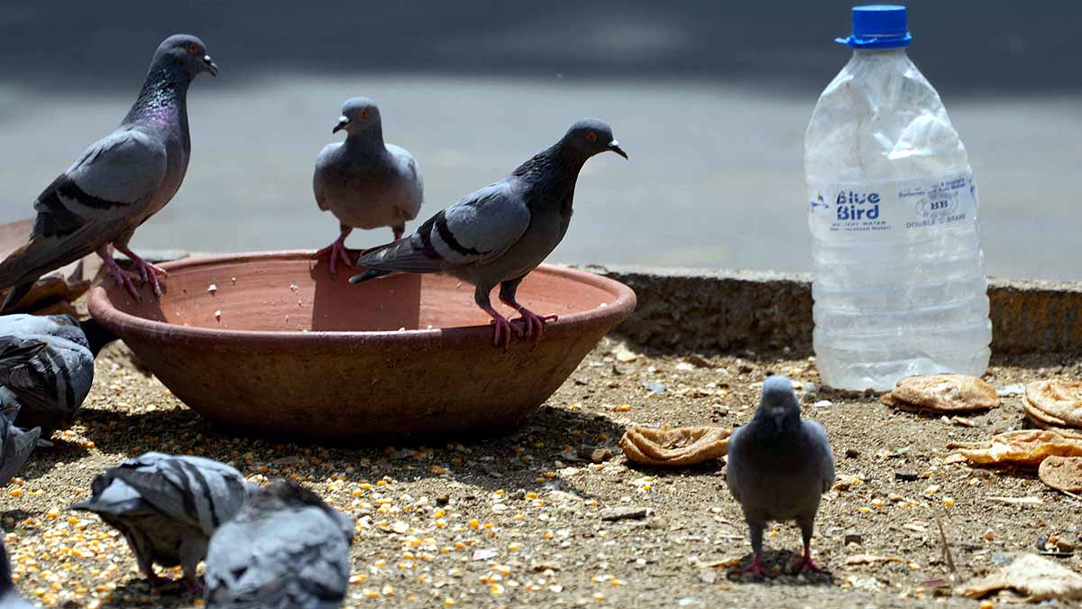 Hottest Cities In India