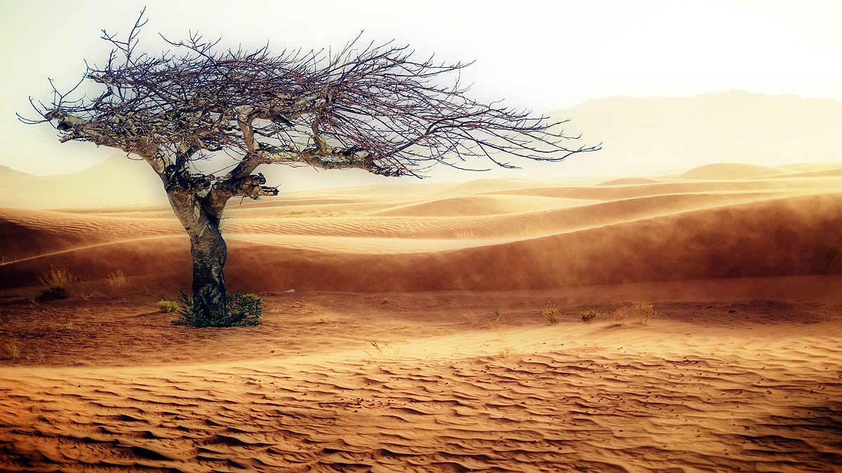 32 crore people hungry 