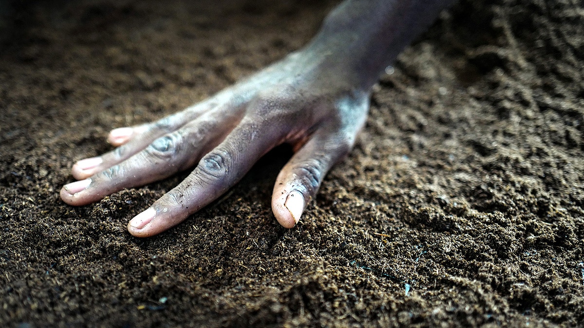 32 crore people hungry 