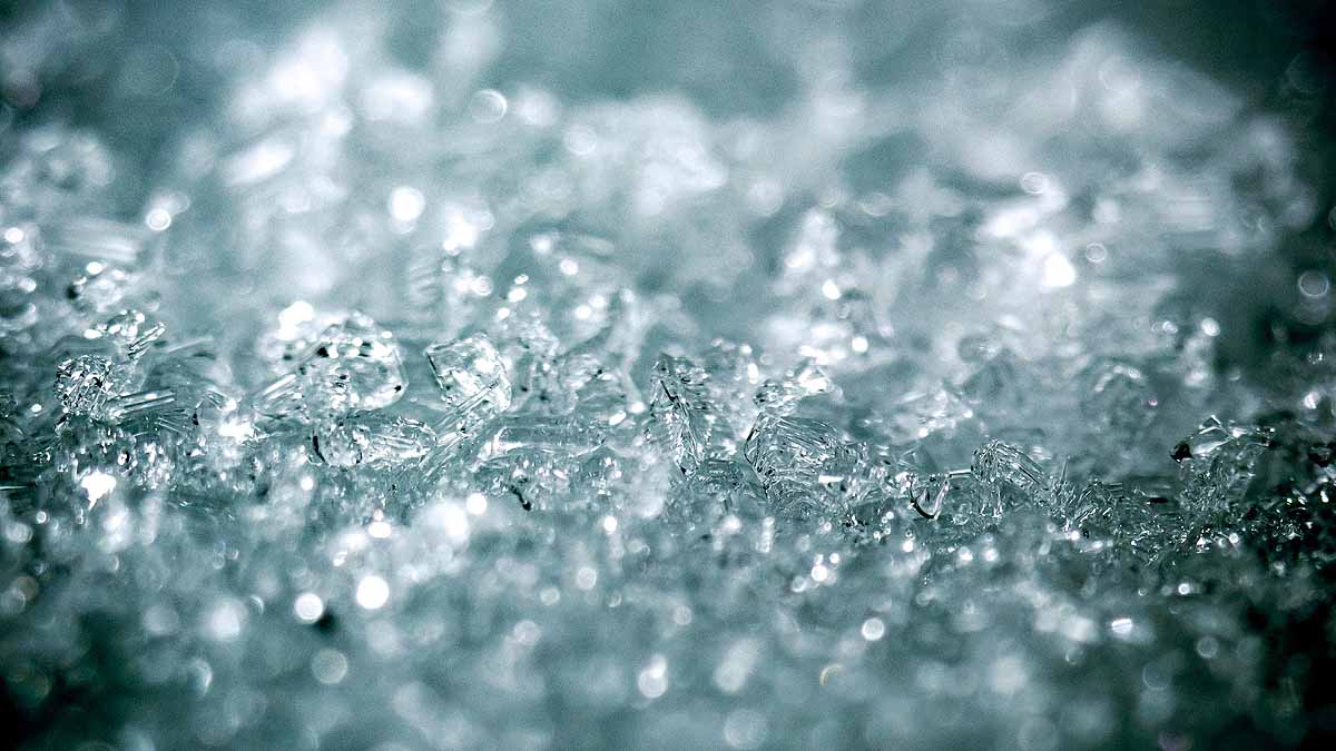 Plant Cellulose Ice Cream 