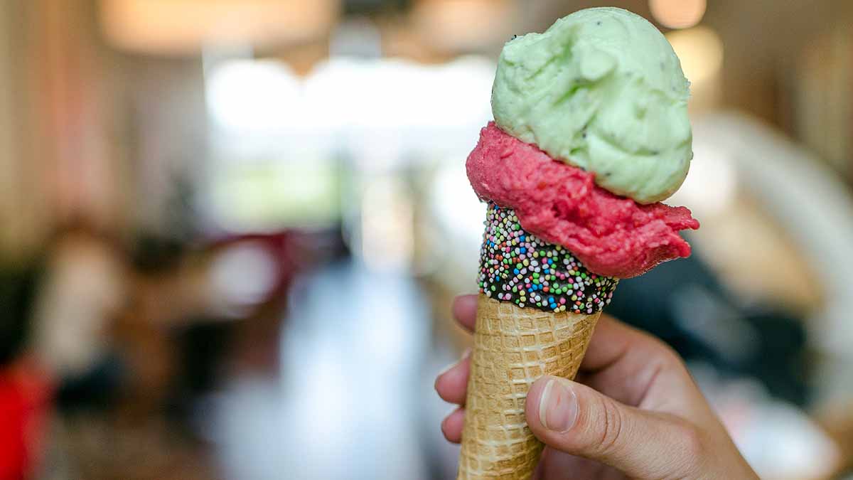 Plant Cellulose Ice Cream 