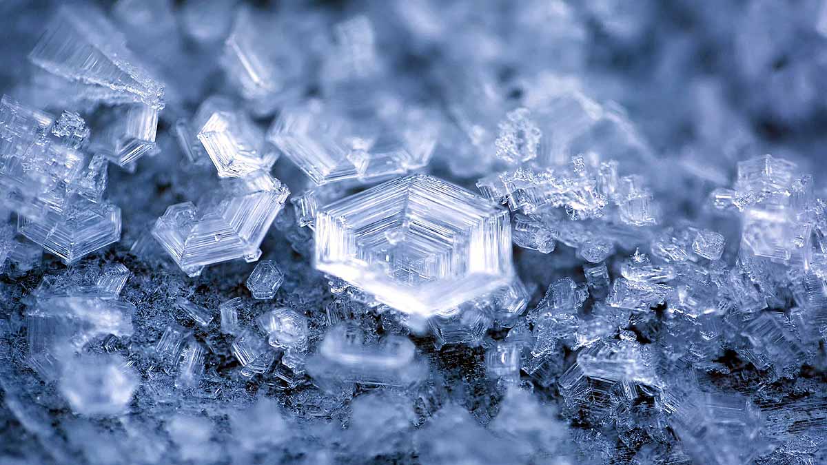 Plant Cellulose Ice Cream 