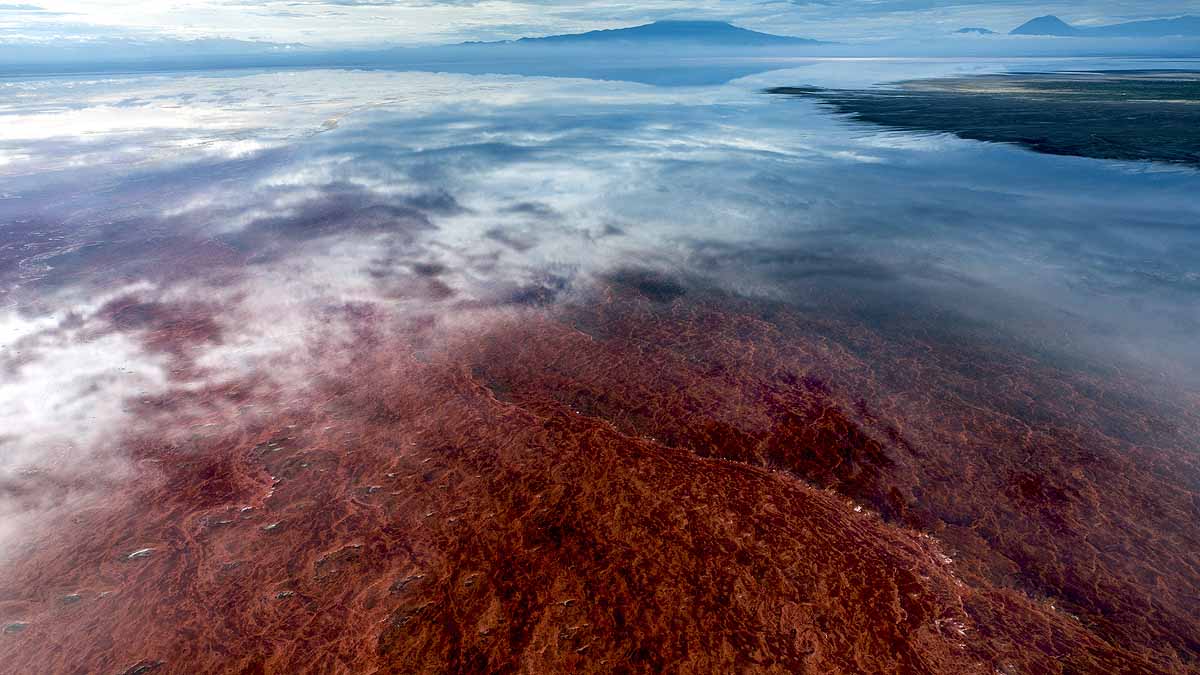 Deadly Lake Natron Tanzania