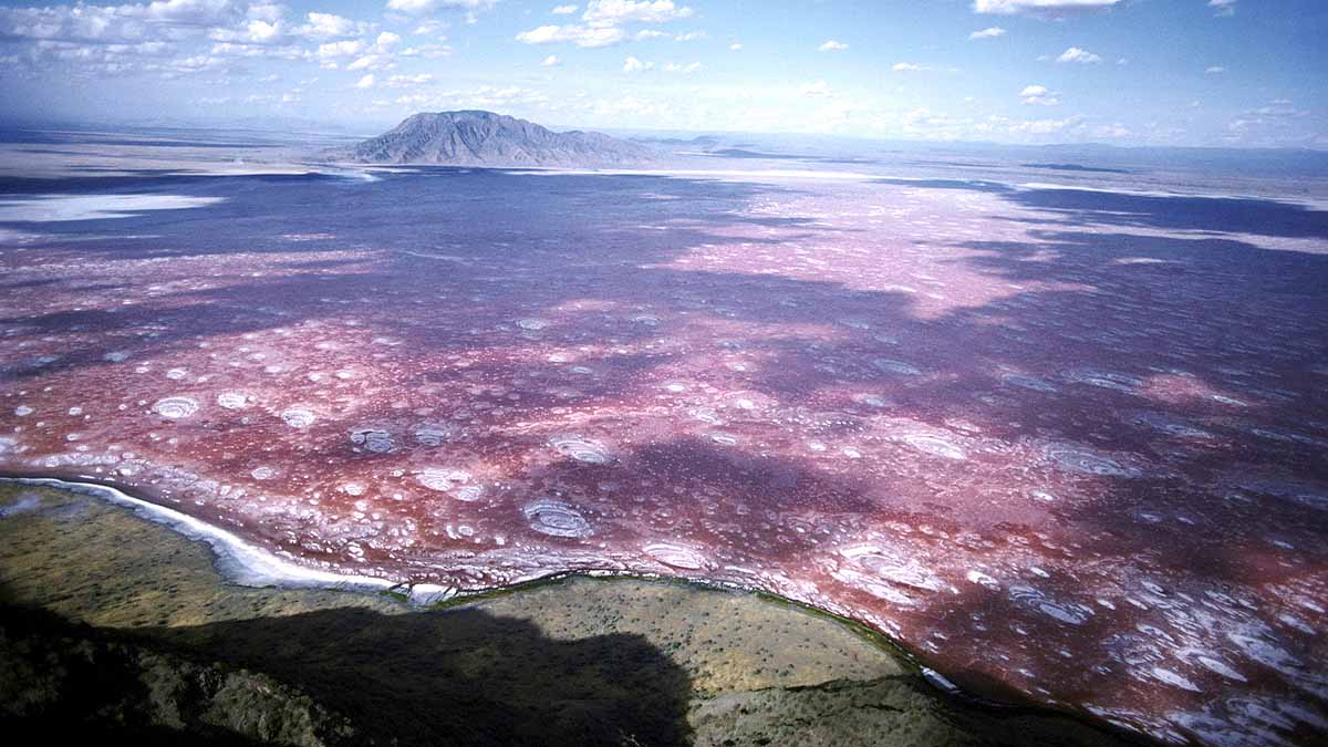 Deadly Lake Natron Tanzania