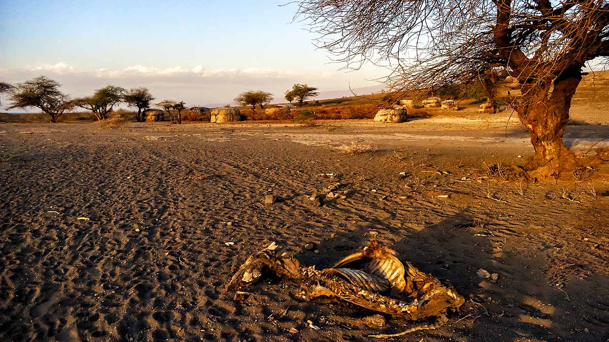 Deadly Lake Natron Tanzania