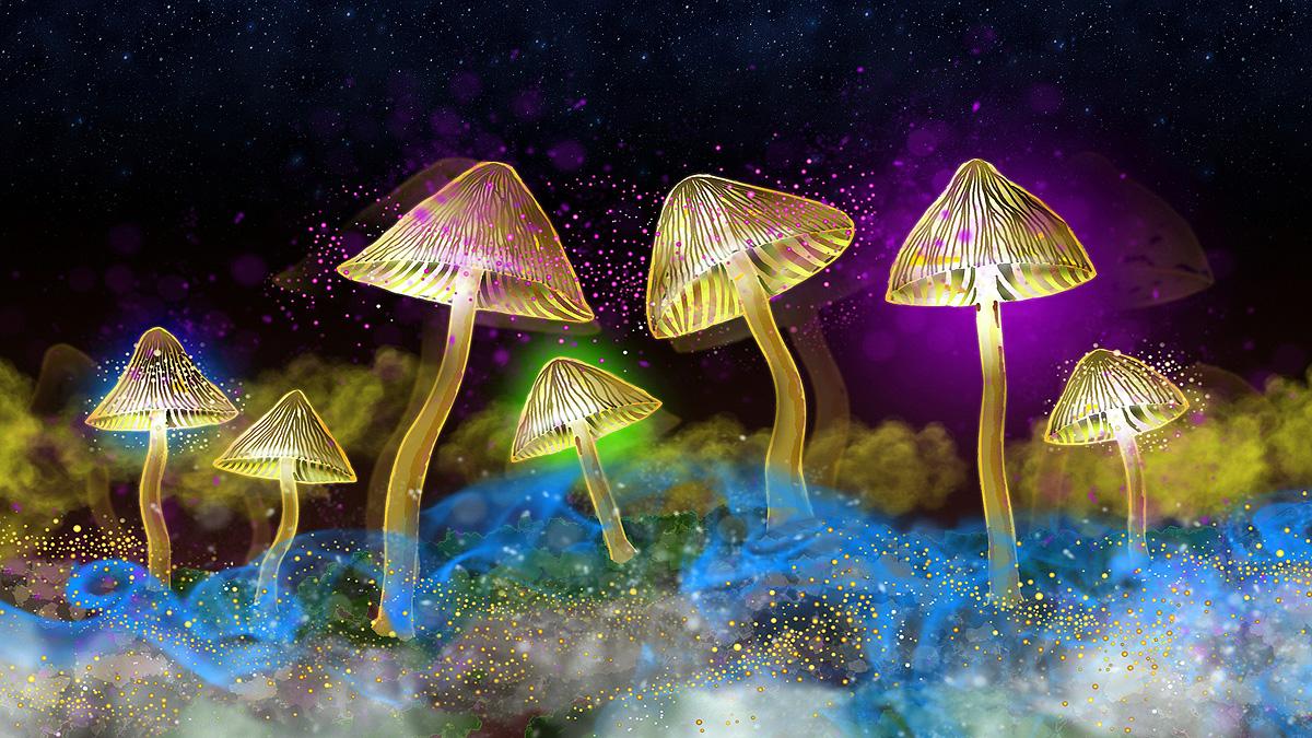 Magic mushroom hellucinogenic compound psilocybin could treat depression creates hyper connected brain