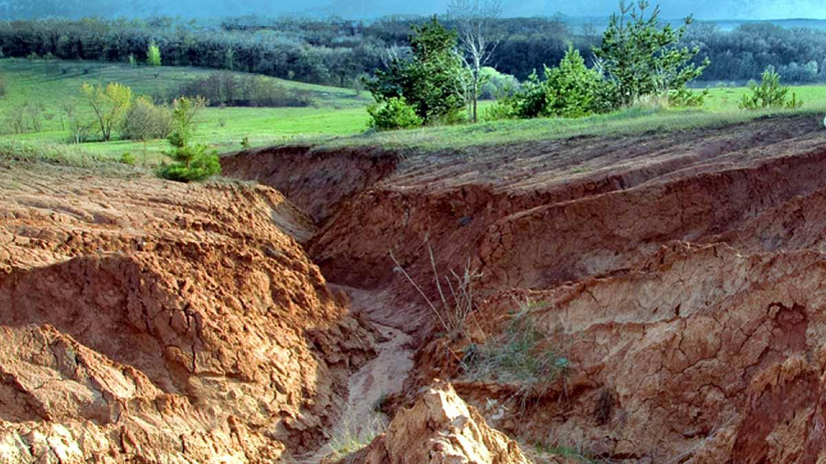 Soil facts eradication erosion conservation