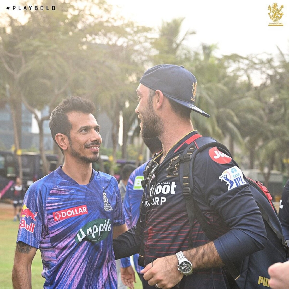 glenn maxwell and Yuzvendra Chahal