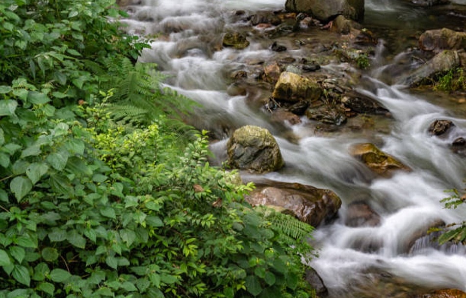 5000 में लॉन्ग वीकेंड का मजा