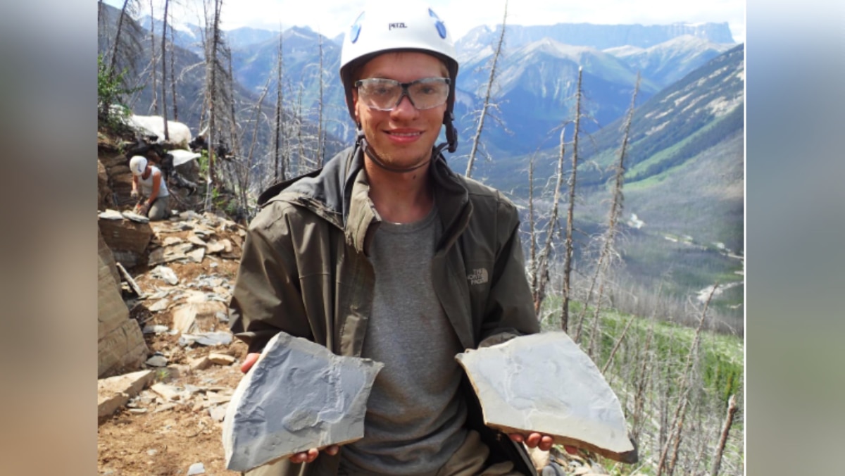 mysterious animal found