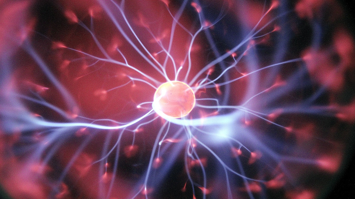 near death experiences