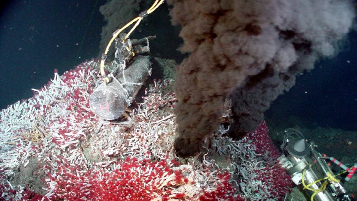 5500 new RNA viruses