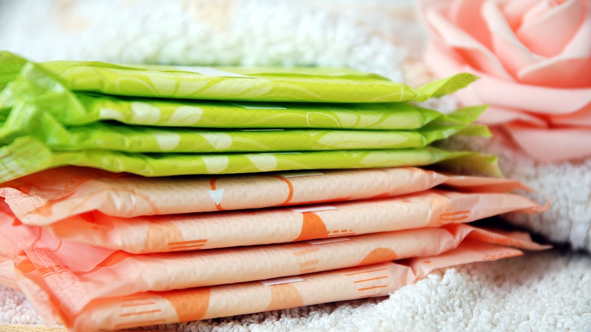 Periods in Women & Female Animals