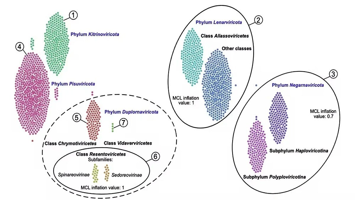 5500 new RNA viruses