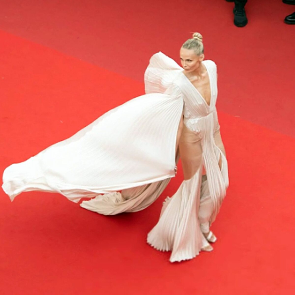 नताशा पॉली