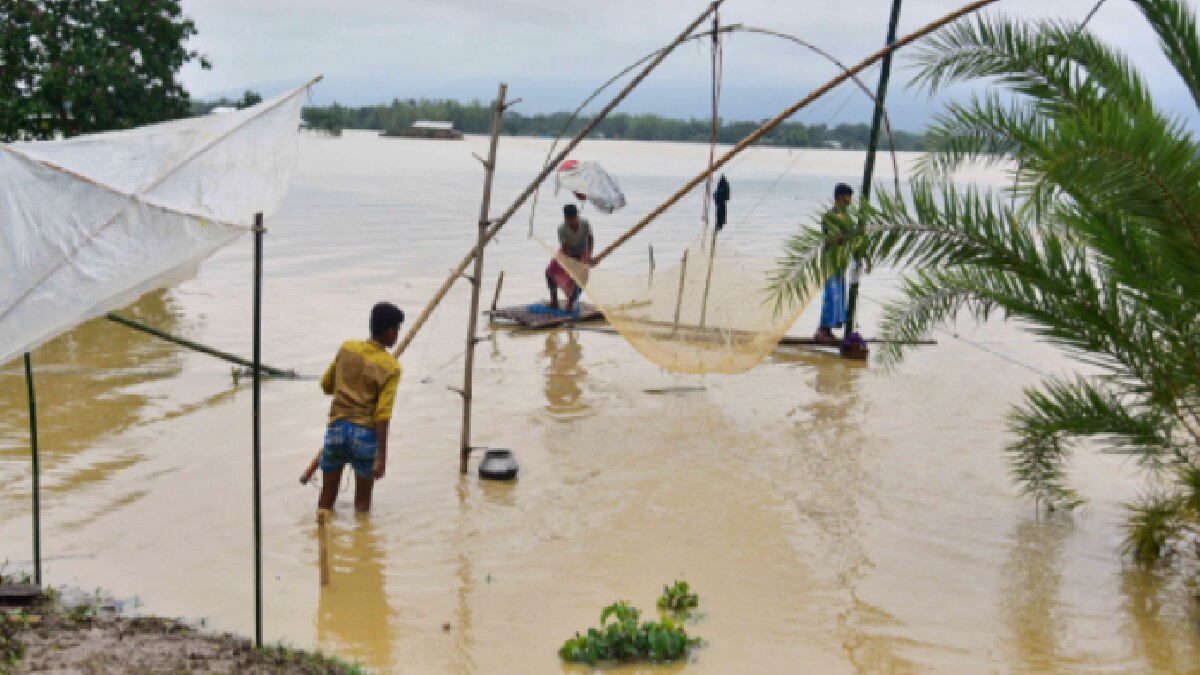 Assam Floods (Pic Credit-PTI)