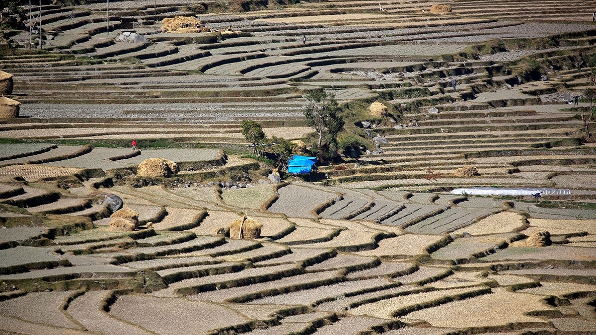 Bhutan Farm Land