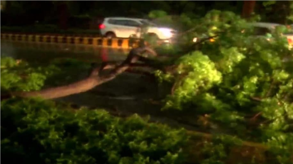 Delhi Rainfall, Weather Update