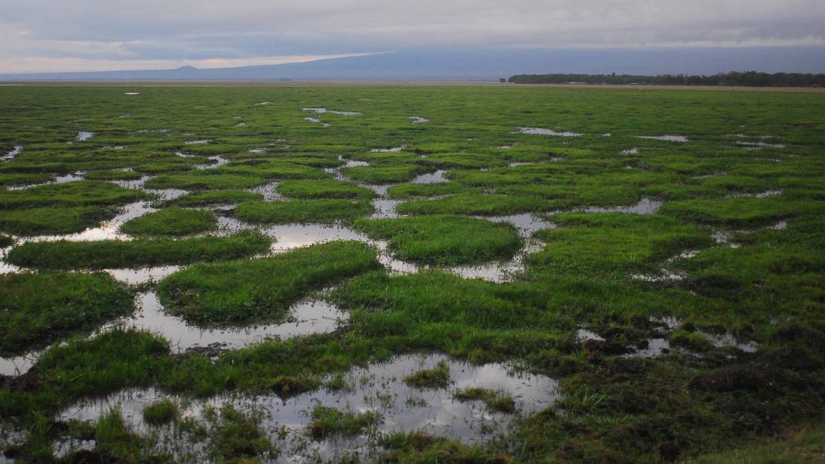 climate of the earth is changing