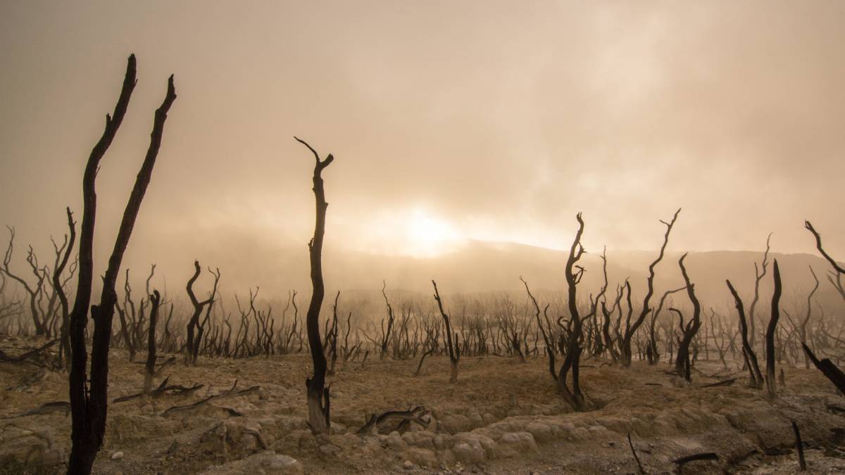 climate of the earth is changing