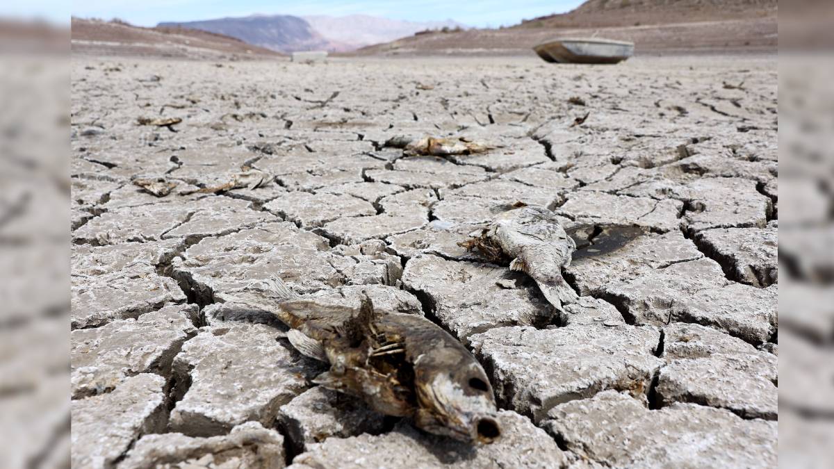  Human remains found at Nevada's Lake Mead