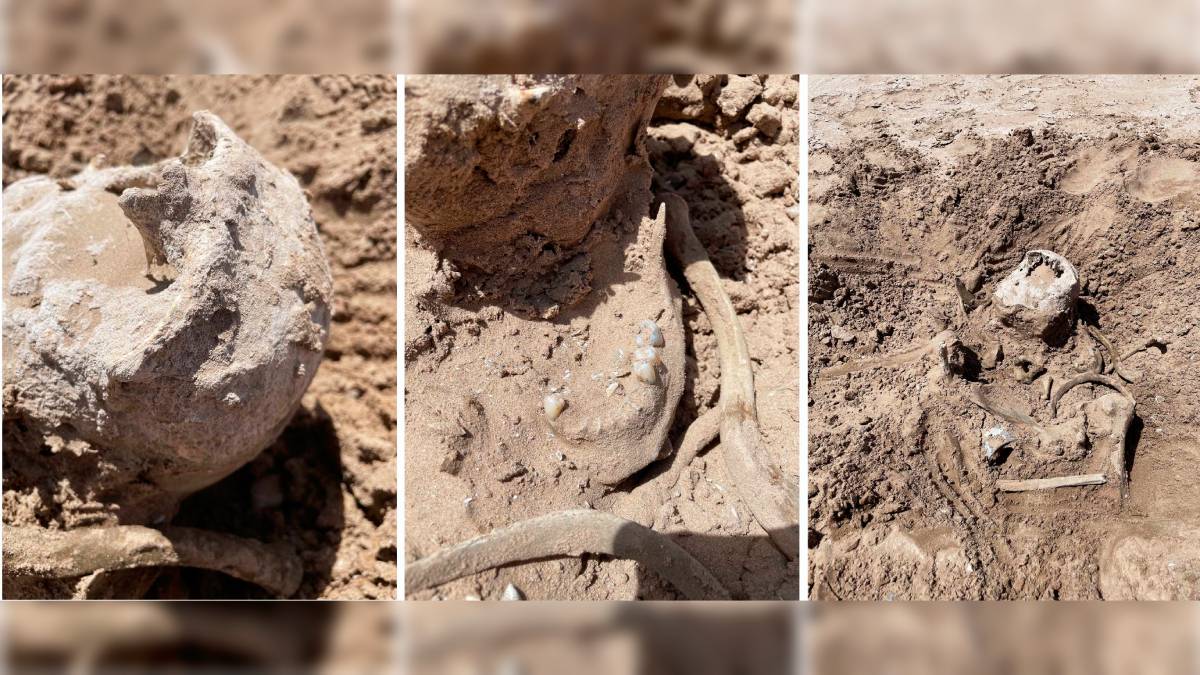  Human remains found at Nevada's Lake Mead