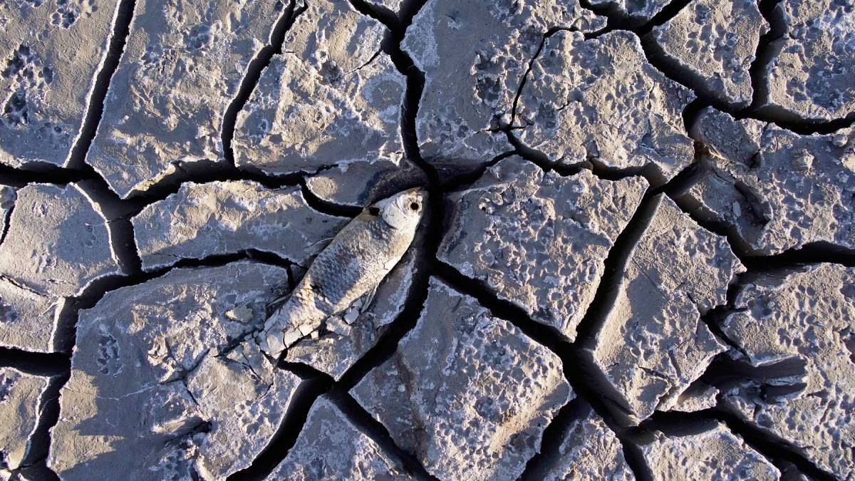  Human remains found at Nevada's Lake Mead