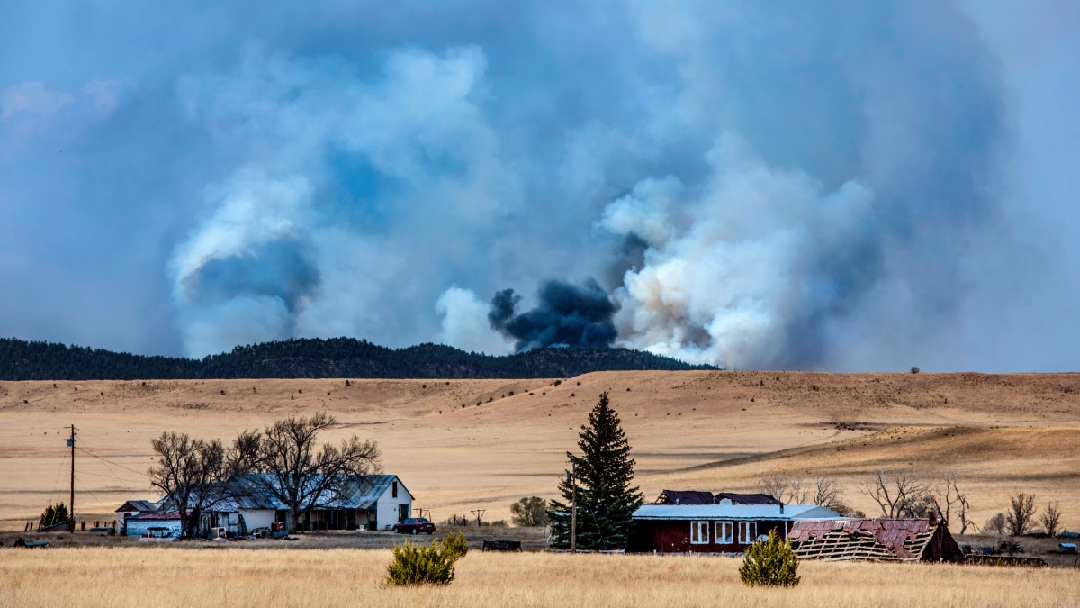 New Mexico megafire