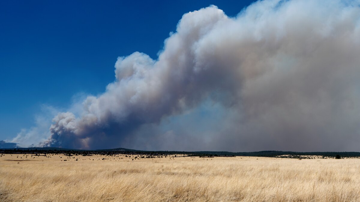 New Mexico megafire