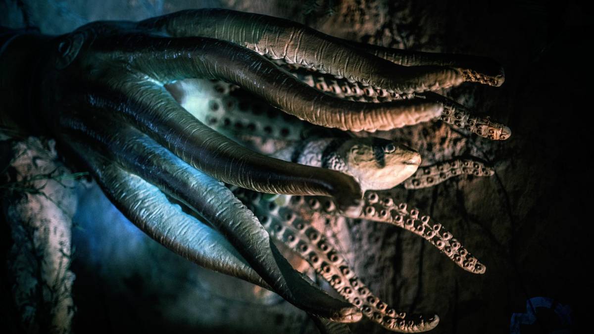 self destructing octopus