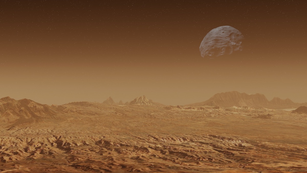 SpaceX to Mars in this decade