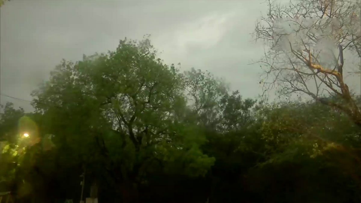 दिल्ली-एनसीआर में आंधी के बाद झमाझम बारिश (फोटो- ANI)