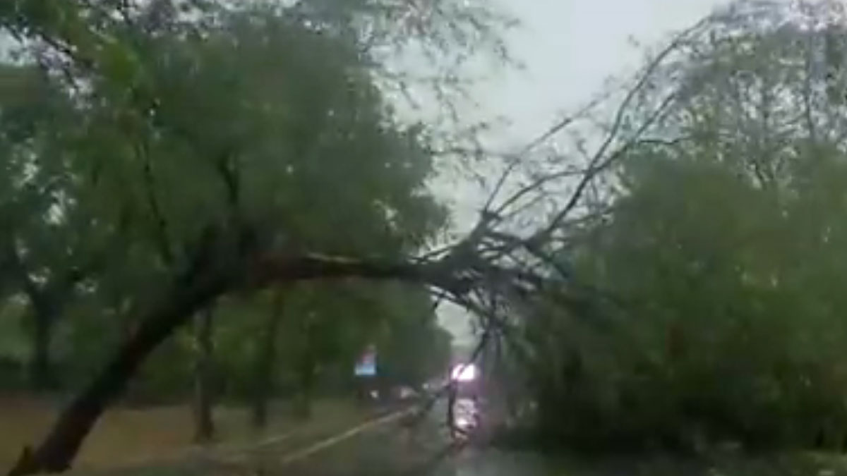 दिल्ली-एनसीआर में आंधी के बाद झमाझम बारिश (फोटो- ANI)