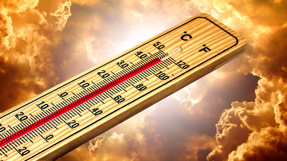 climate change virus swapping