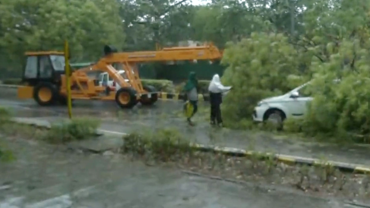 दिल्ली-एनसीआर में आंधी के बाद झमाझम बारिश (फोटो- ANI)