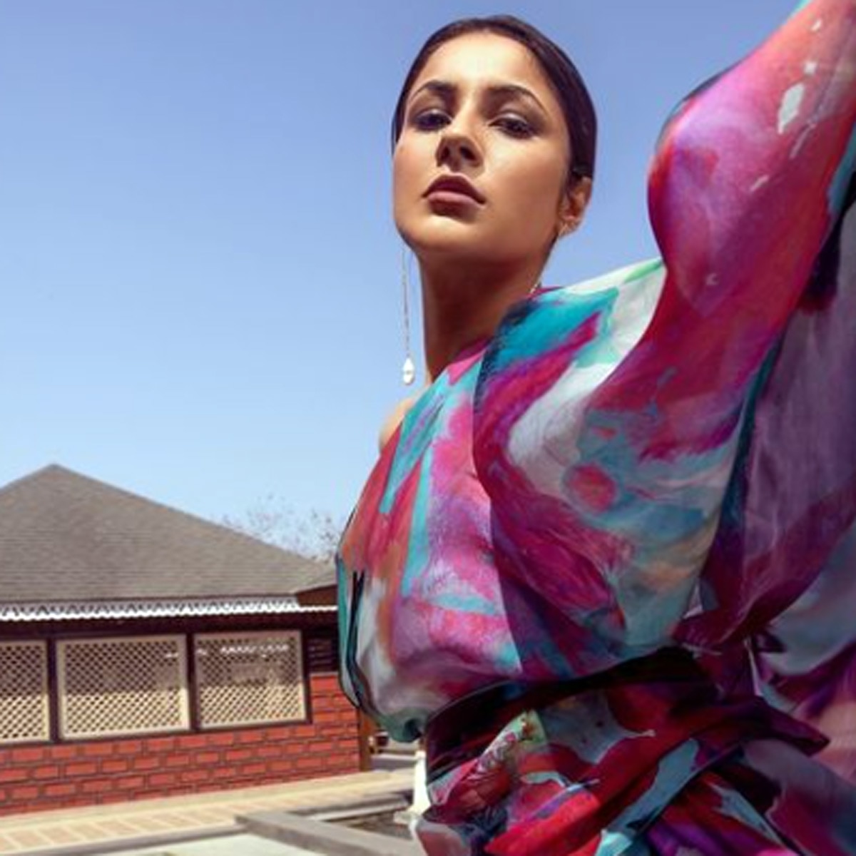  शहनाज गिल