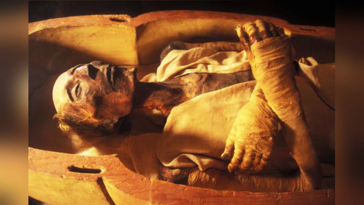  Egyptian mummies
