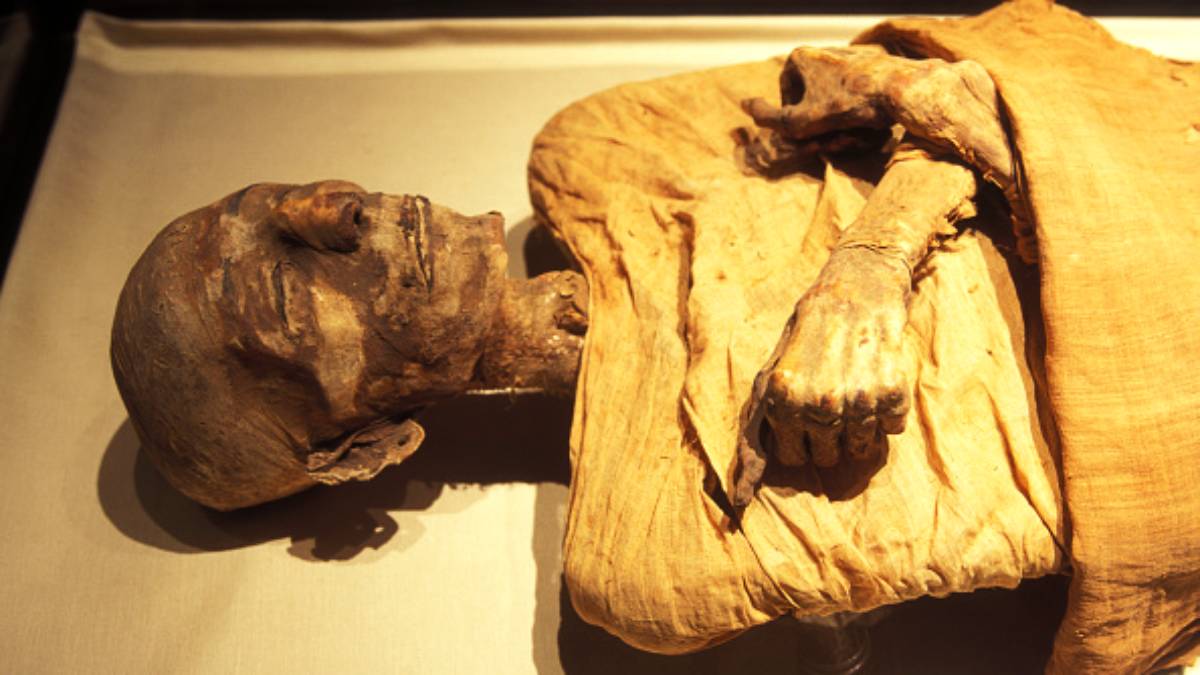  Egyptian mummies