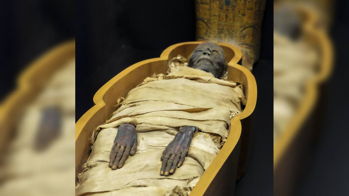  Egyptian mummies