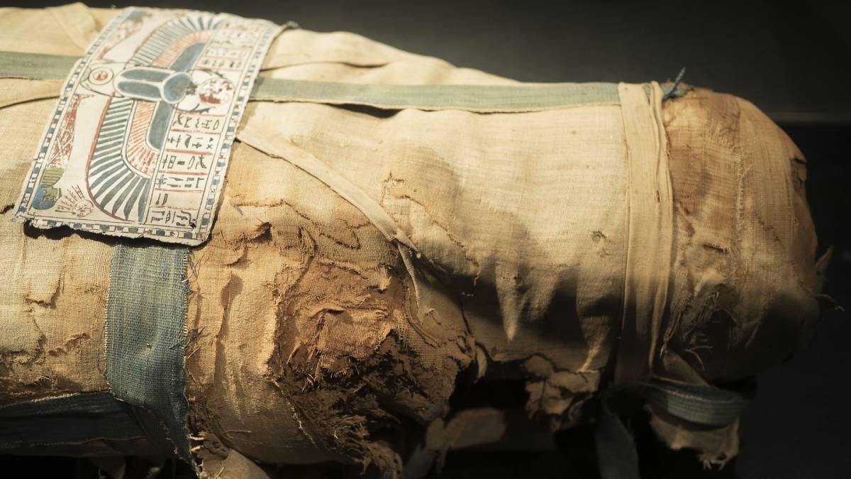  Egyptian mummies