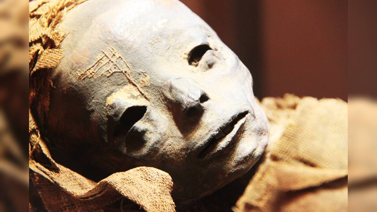  Egyptian mummies