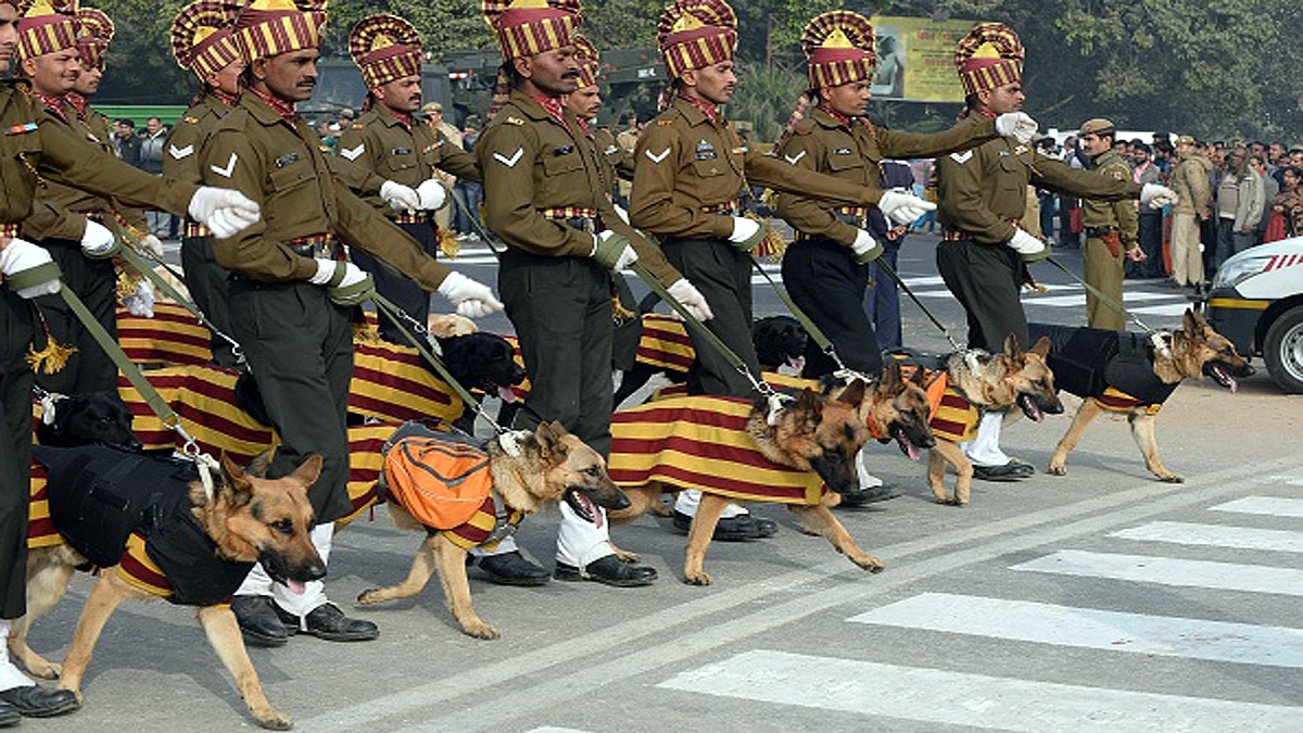 Indian Army Dog Unit