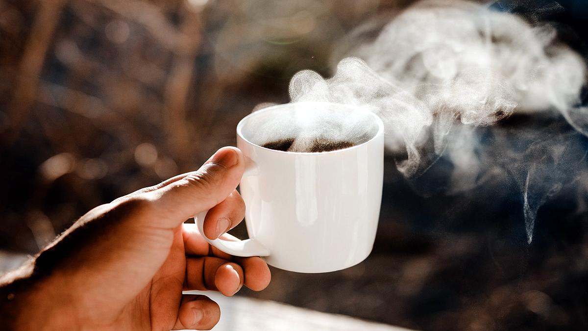 insect dna found in tea