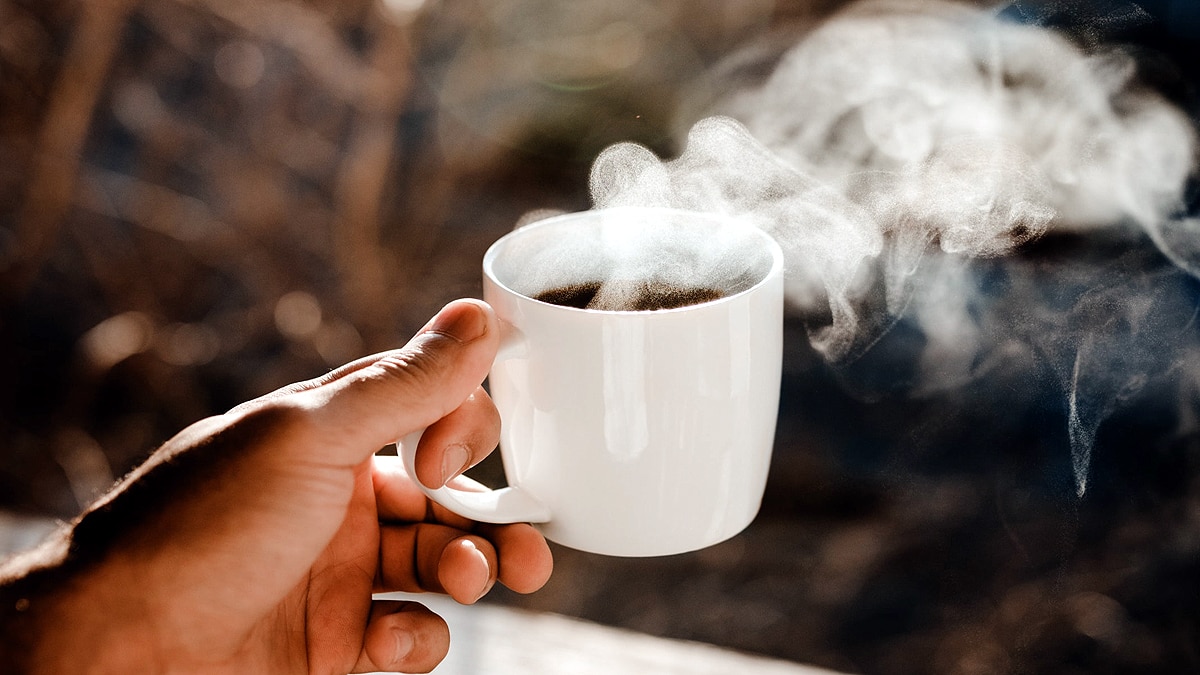 insect dna found in tea