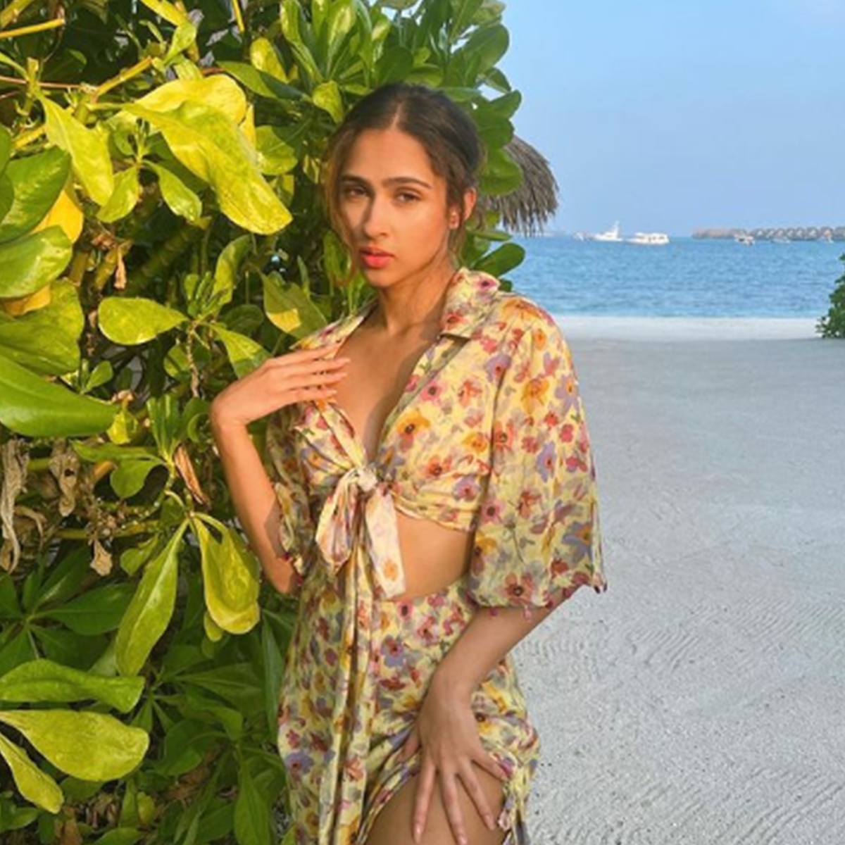 पश्मीना रोशन