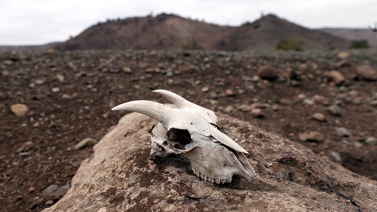 Chilean Lake Turns to Desert