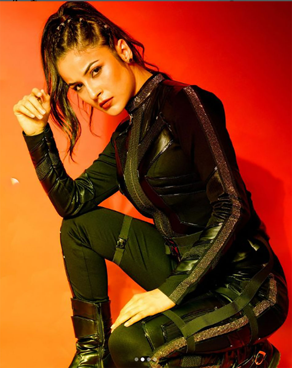 शहनाज गिल