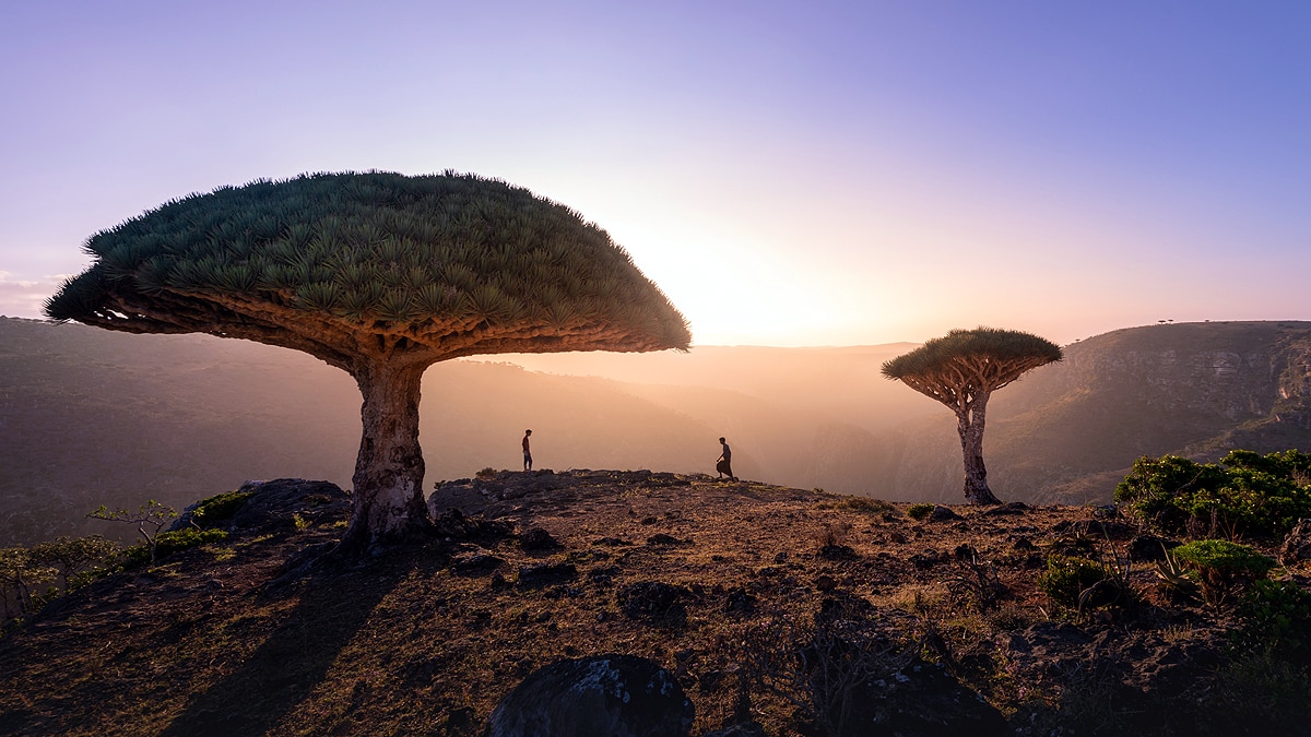 Alien World on Earth