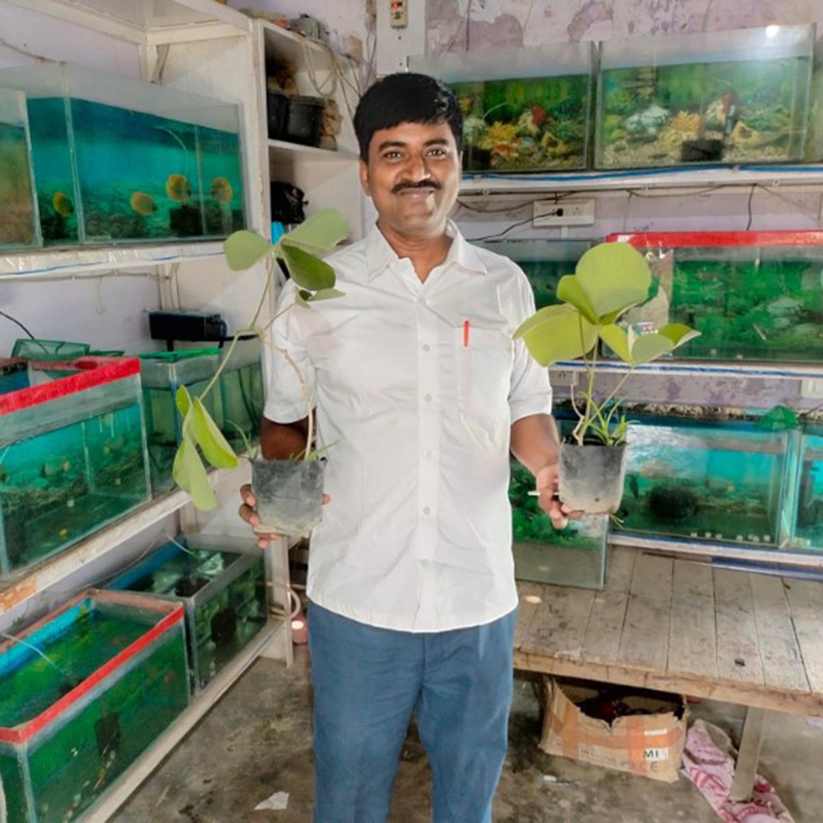 सुशील कुमार 