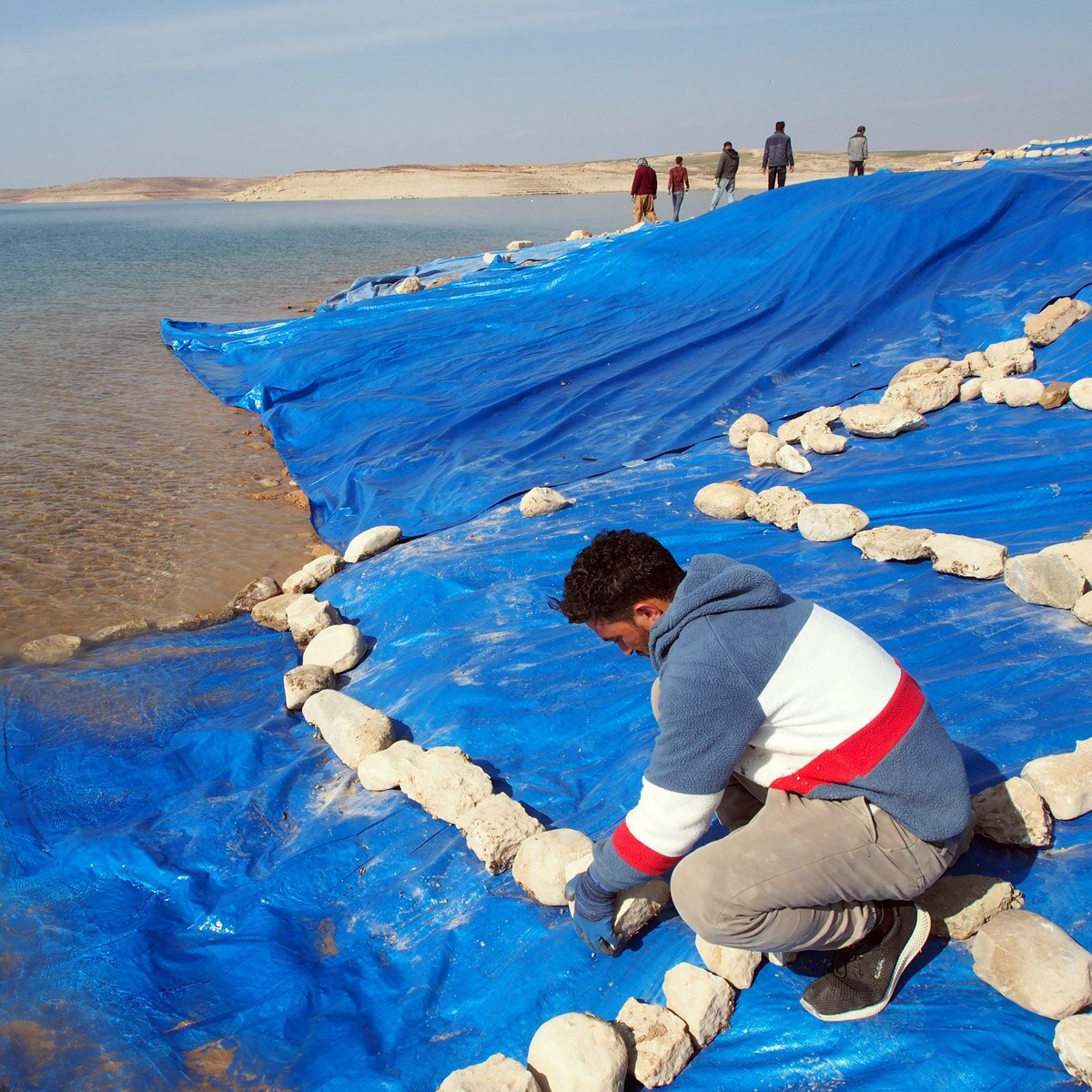 Credit: Universities of Freiburg and Tübingen, KAO